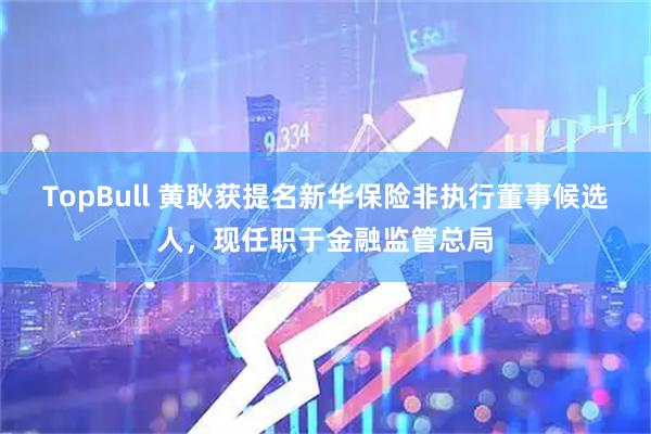 TopBull 黄耿获提名新华保险非执行董事候选人,现任职于金融监管总局